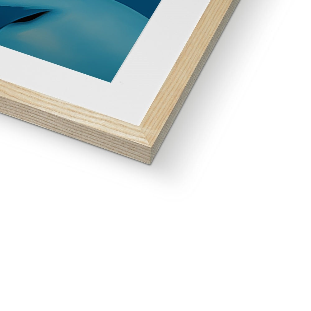 Anthony Tintoretto Framed & Mounted Print