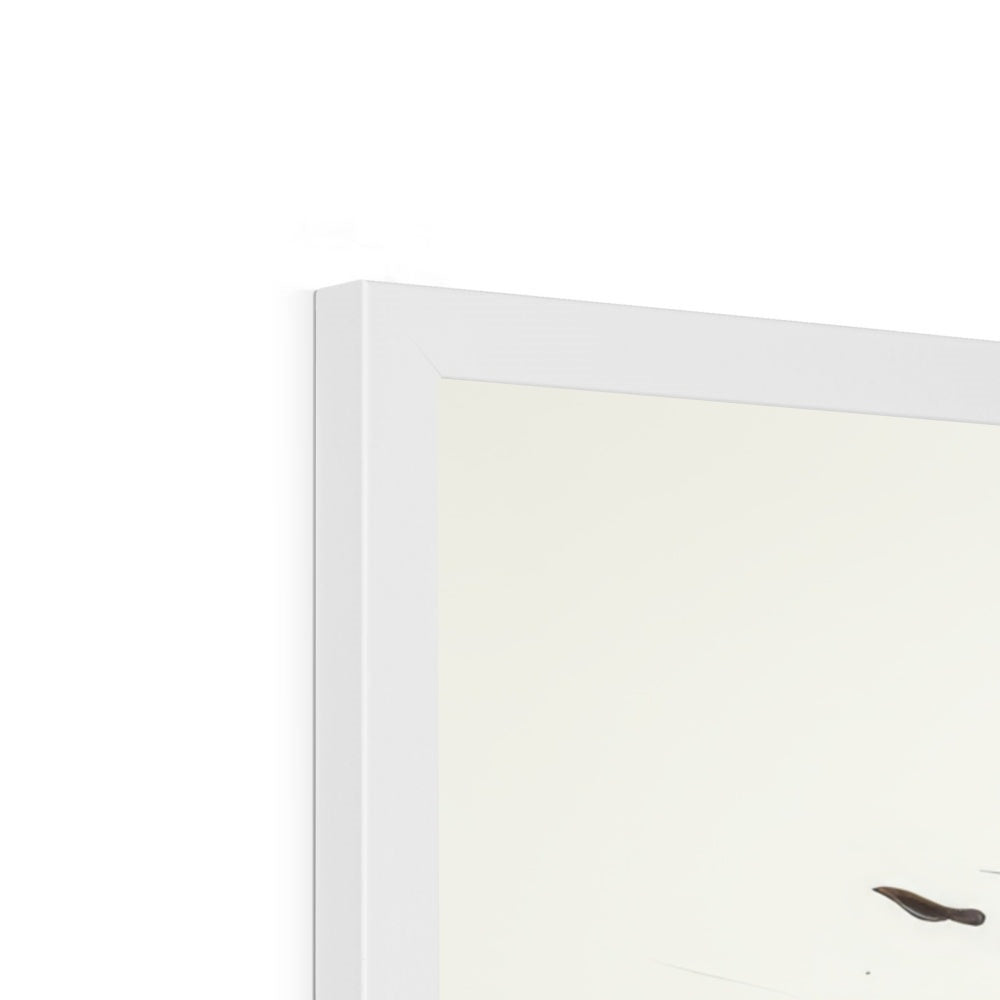 Clara Hals Framed Print