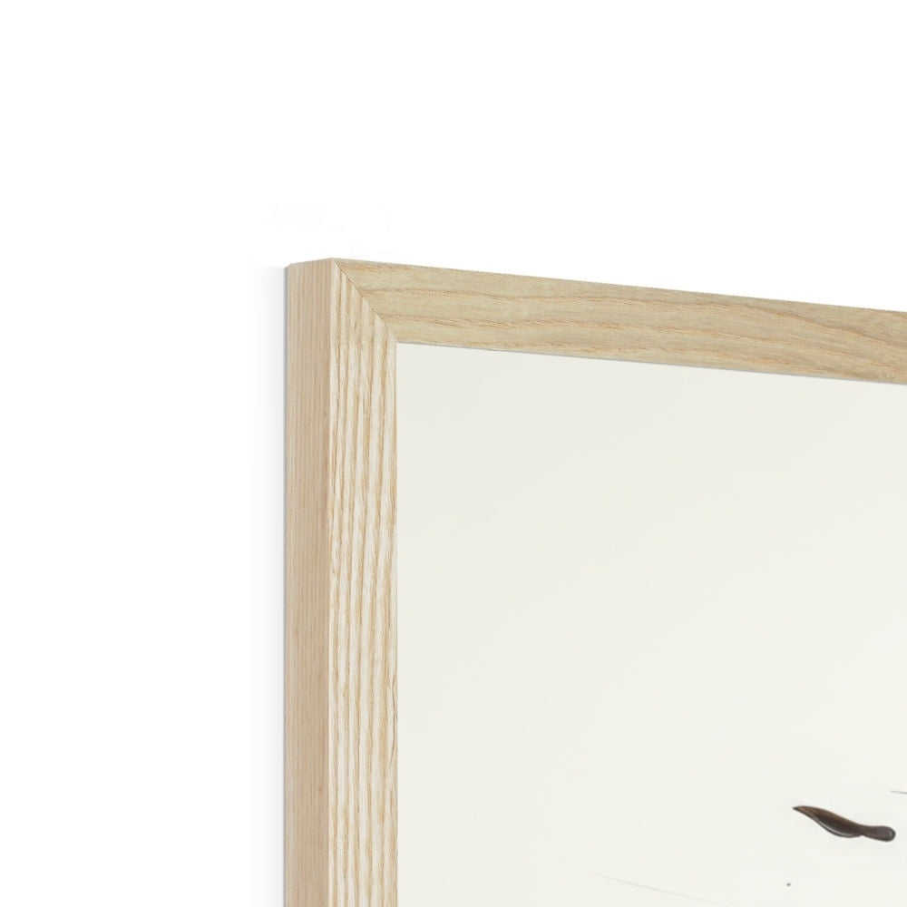 Clara Hals Framed Print