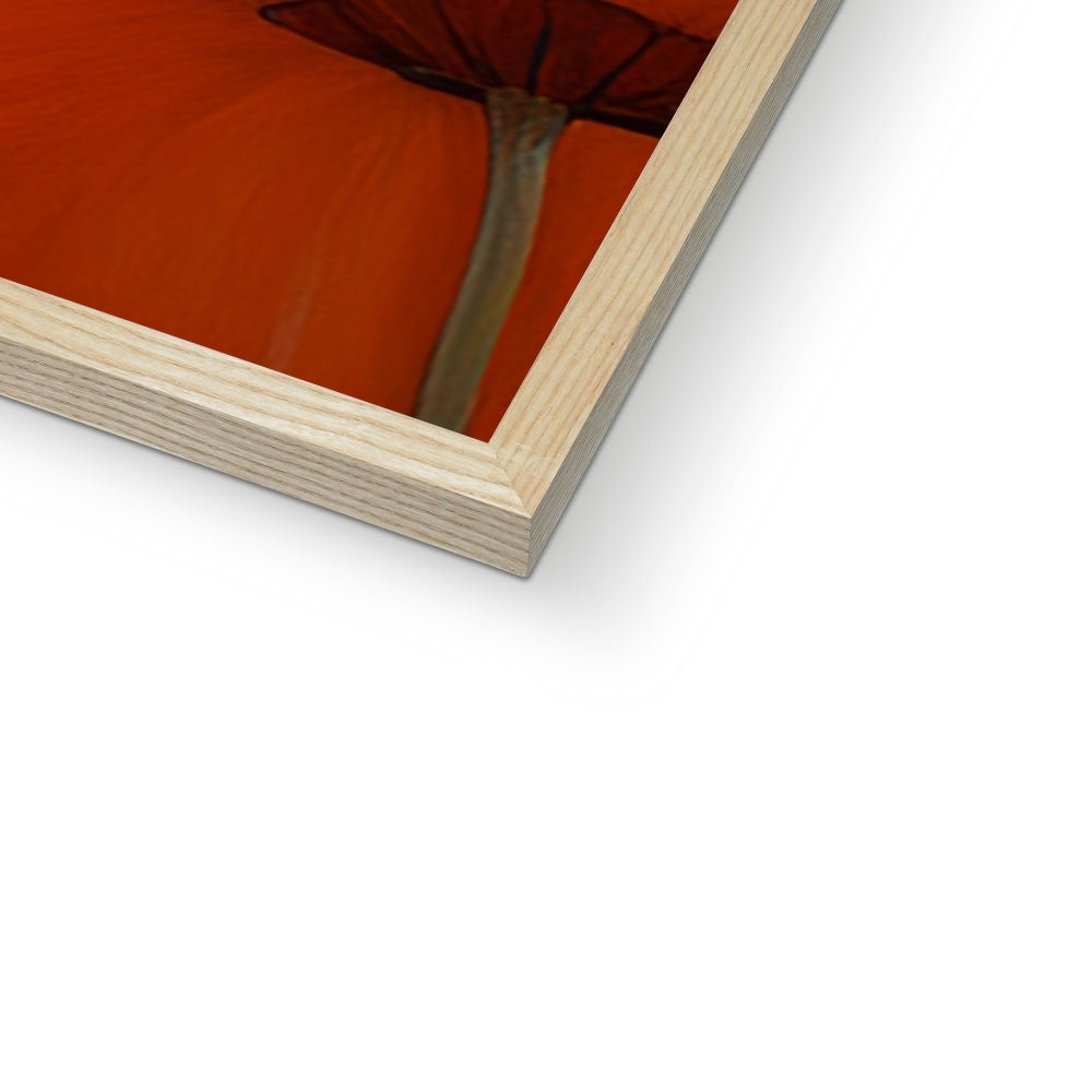 Penelope Lippi Framed Print