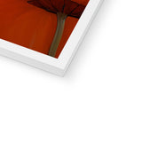 Penelope Lippi Framed Print