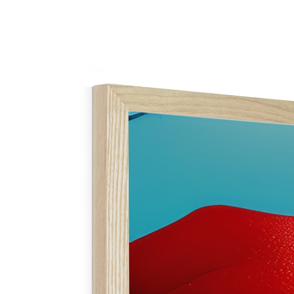 Nicholas Ruisdael Framed Print