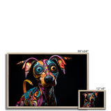 William Velázquez Framed Print