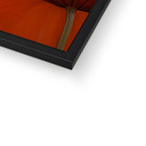 Penelope Lippi Framed Print