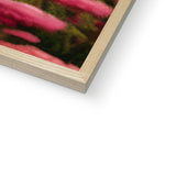 Maria da Vinci Framed Print